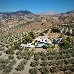 Bed & Breakfast Amorosa, Villanueva de la Concepcion